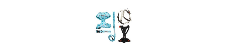 Arneses, Collares y Correas para Perros