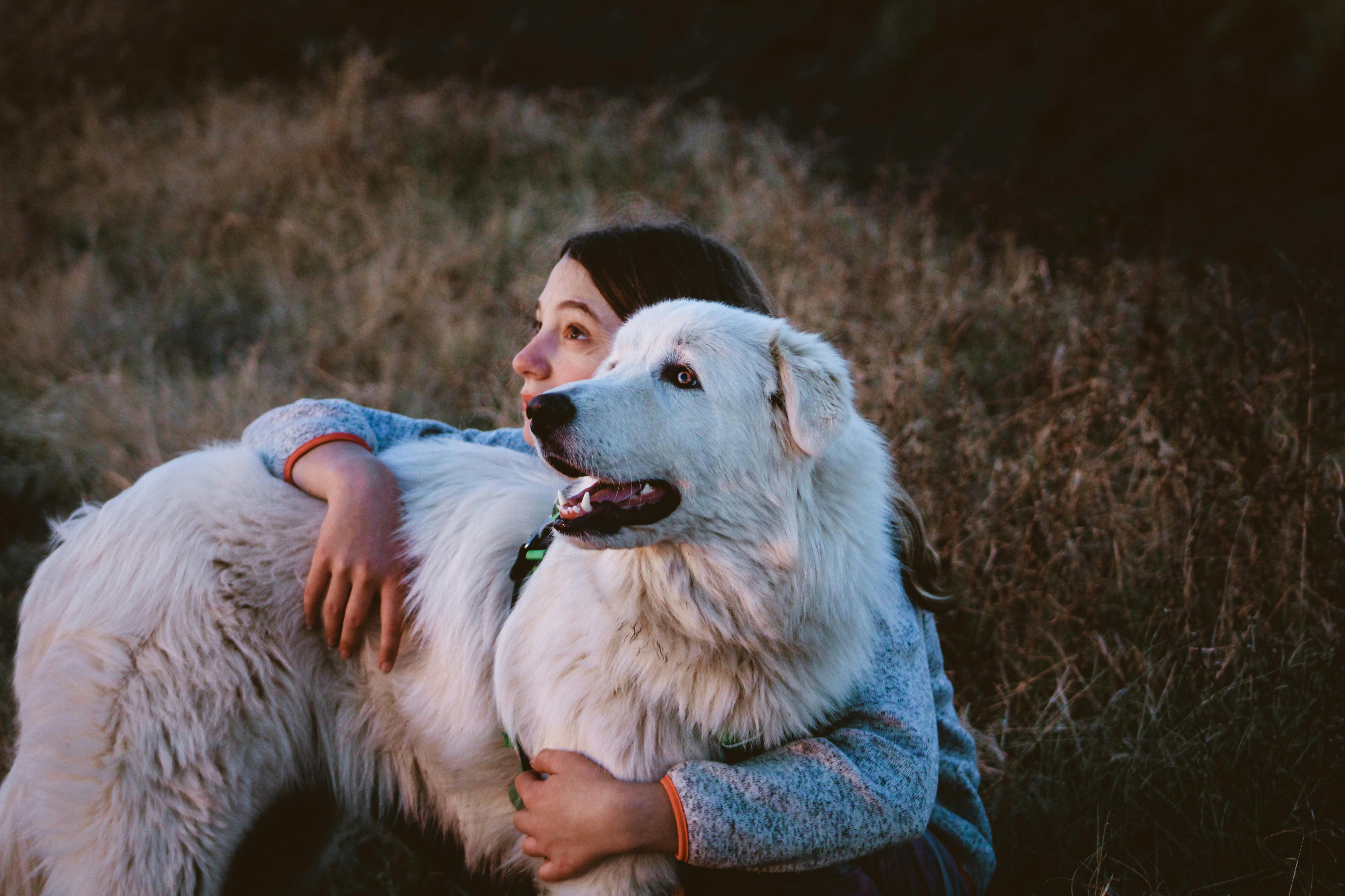 chica abrazando a perrito en el campo