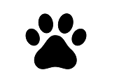 Patitas