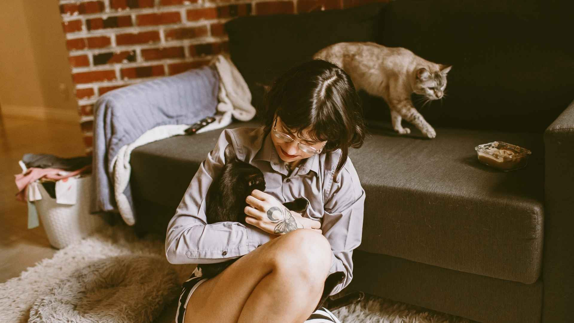 Cómo saber si mi gato se está muriendo: Síntomas y Despedida Cómo saber si mi gato se está muriendo: Síntomas y Despedida