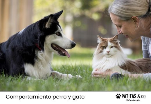 Etólogo: ¿qué es y qué es lo que hace?
