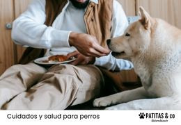 Alimentos que tu perro puede y no puede comer Alimentos que tu perro puede y no puede comer