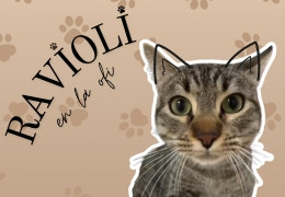 Ravioli
