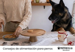Galletas para perros