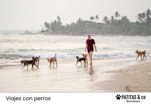Las Mejores Playas para Perros en España [Guía Patitas Playeras 2025]