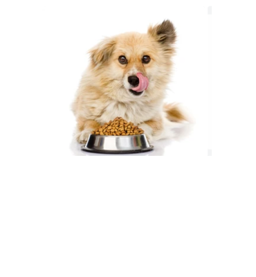 Pienso para perros