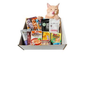 Arena y areneros gatos